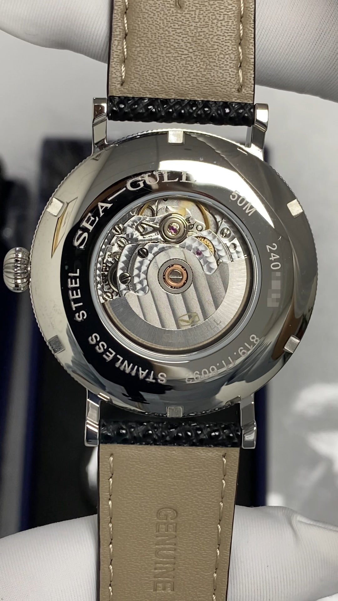 Moon Phase · Sea Gull