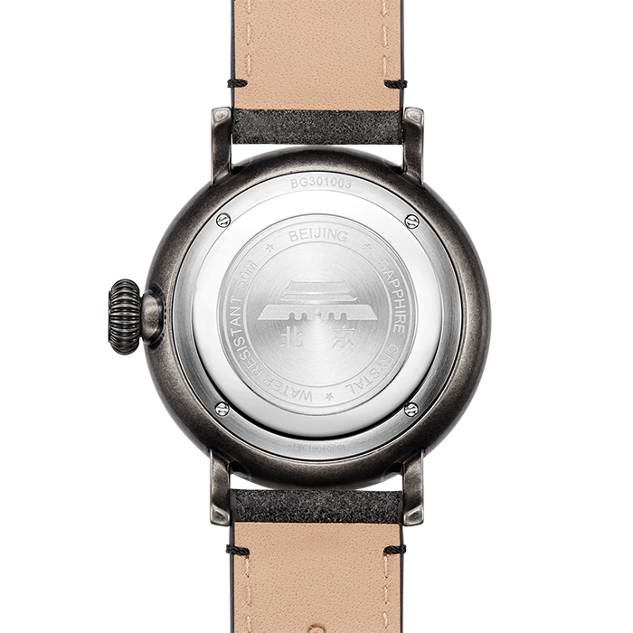 D301 · antique silver color case
