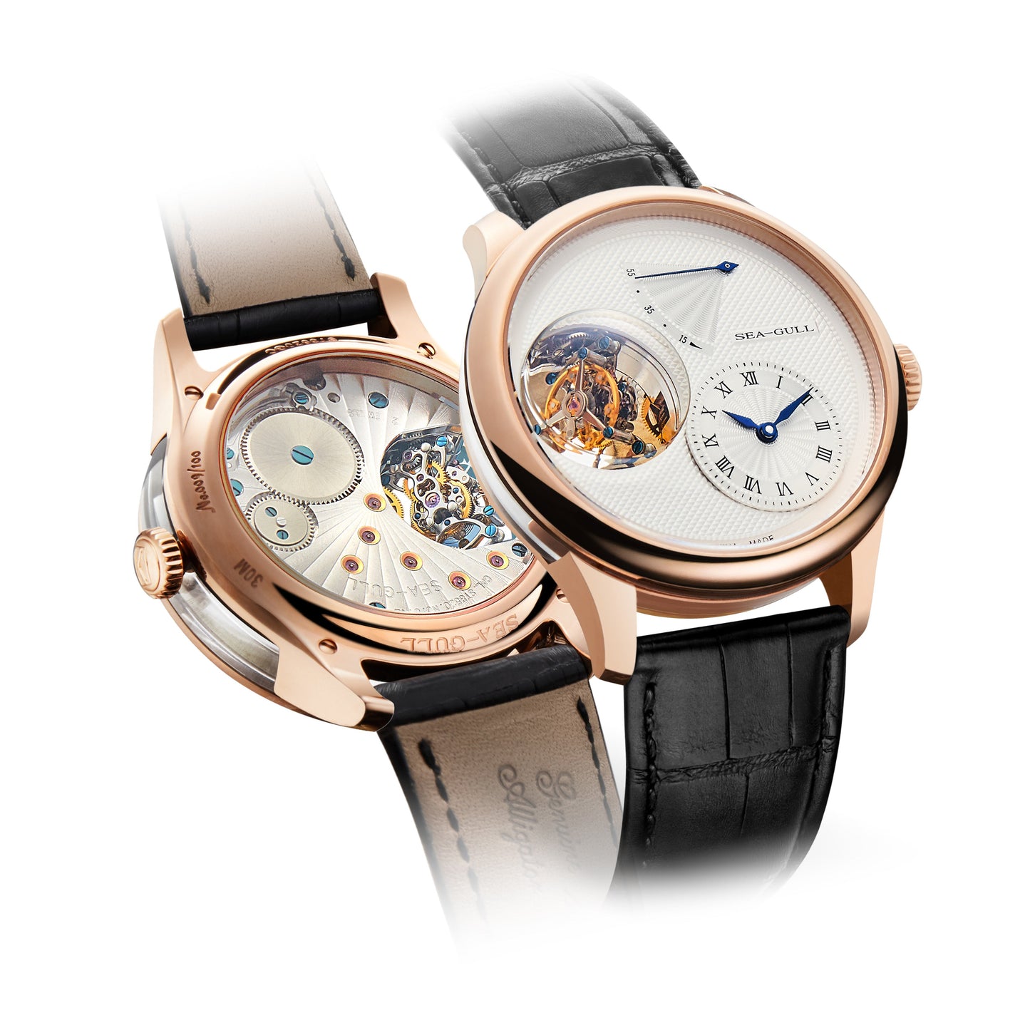 Magic Wings Tourbillon · transparent case flank