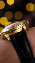 Qióng Jìng Sky Dome 895 · Shanghai Watch 65th Anniversary · Limited Edition