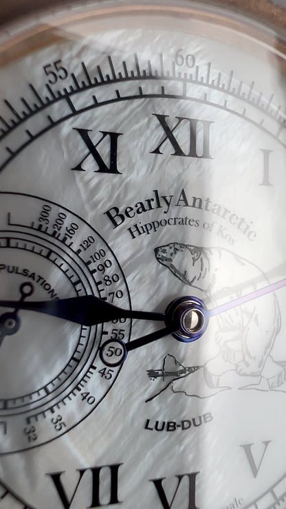 Bearly Antarctic · Gen. II · engraved back