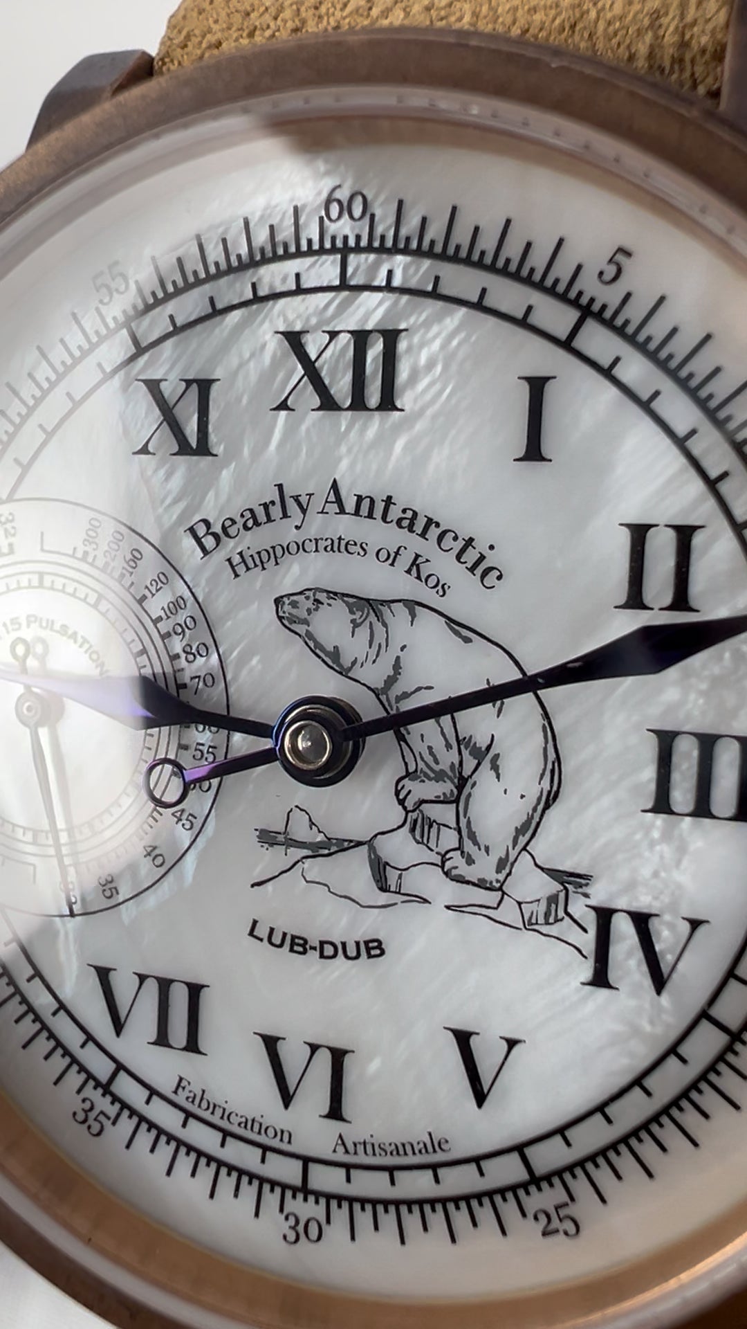 Bearly Antarctic · Gen. II · Bronze · engraved back