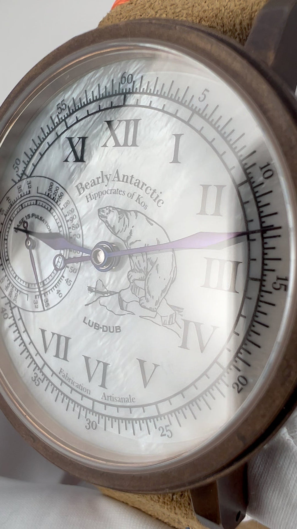 Bearly Antarctic · Gen. II · Bronze · engraved back
