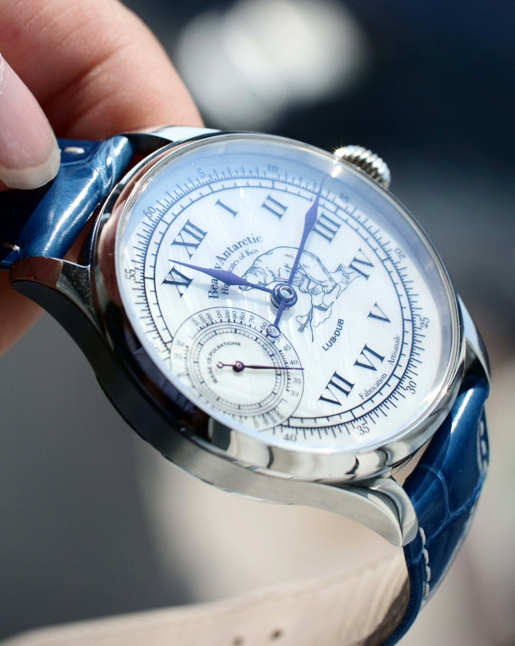 Bearly Antarctic · Gen. II · Steel