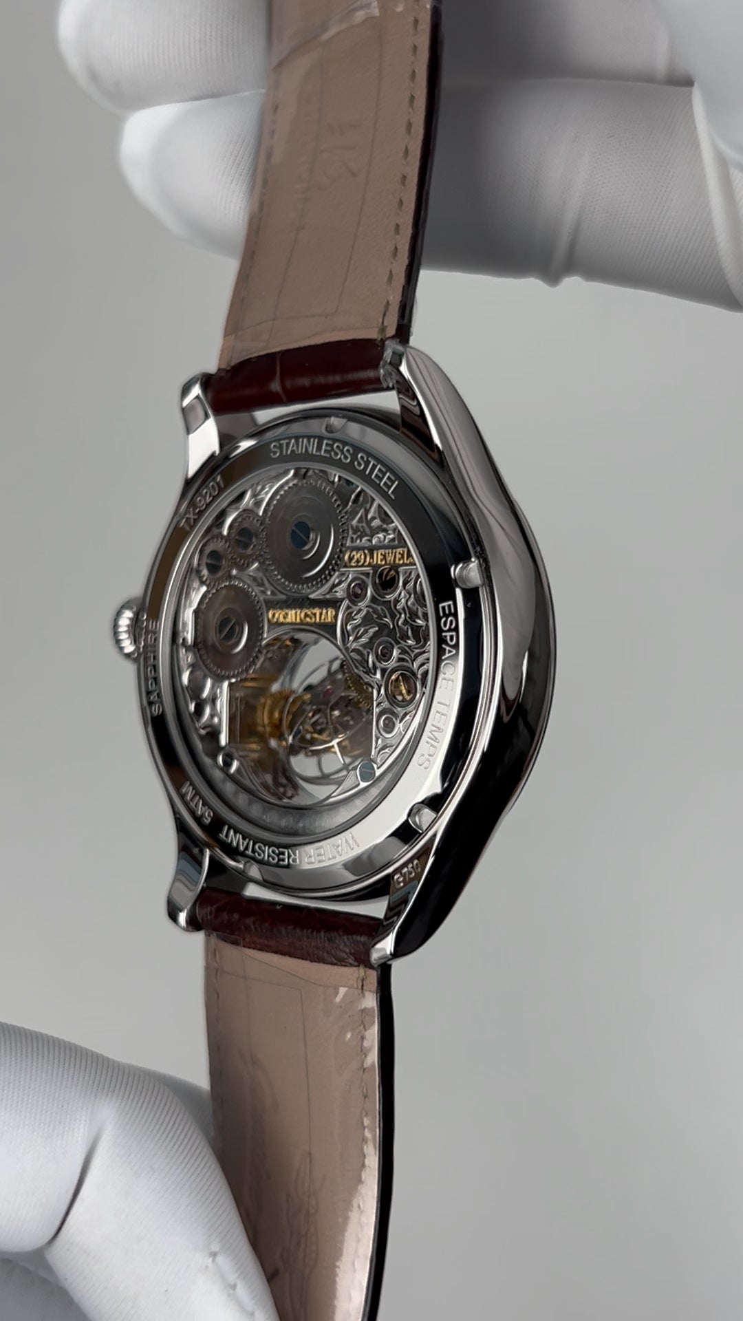 [Pre-owned] Globe Tourbillon · meteorite dial · 18K white gold case · stainless steel caseback