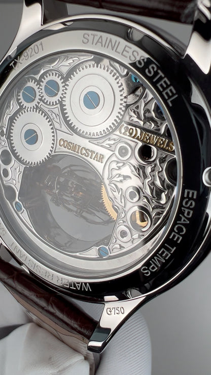 [Pre-owned] Globe Tourbillon · meteorite dial · 18K white gold case · stainless steel caseback