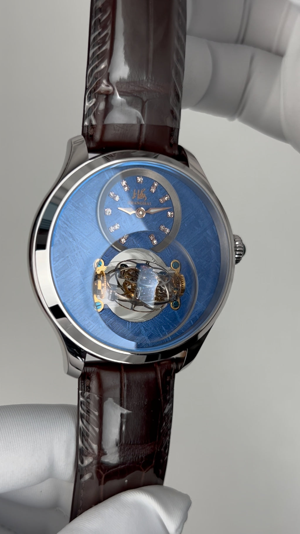 [Pre-owned] Globe Tourbillon · meteorite dial · 18K white gold case · stainless steel caseback