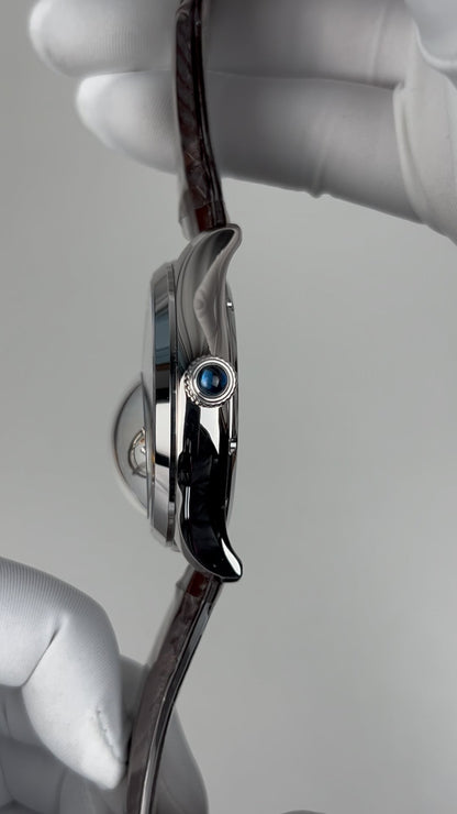 [Pre-owned] Globe Tourbillon · meteorite dial · 18K white gold case · stainless steel caseback