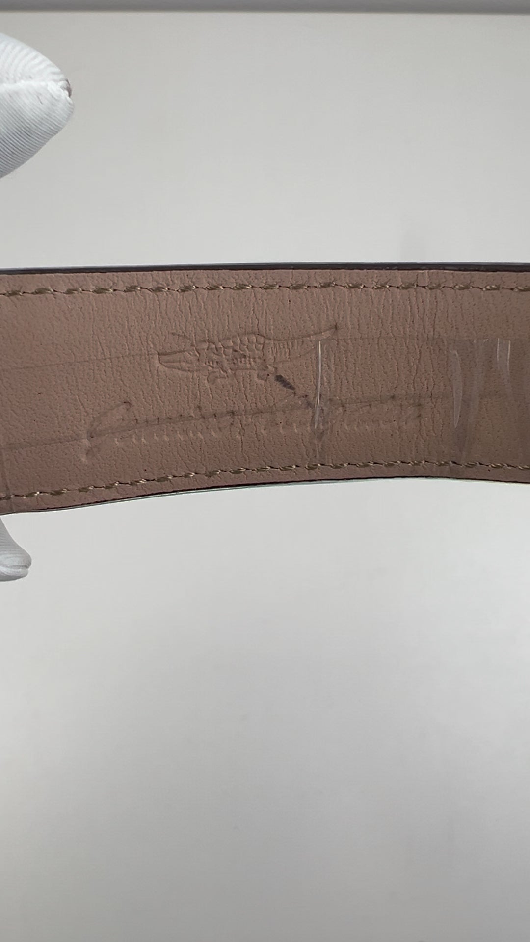 [Pre-owned] Globe Tourbillon · meteorite dial · 18K white gold case · stainless steel caseback