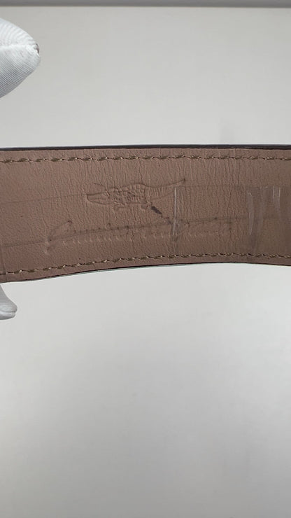 [Pre-owned] Globe Tourbillon · meteorite dial · 18K white gold case · stainless steel caseback