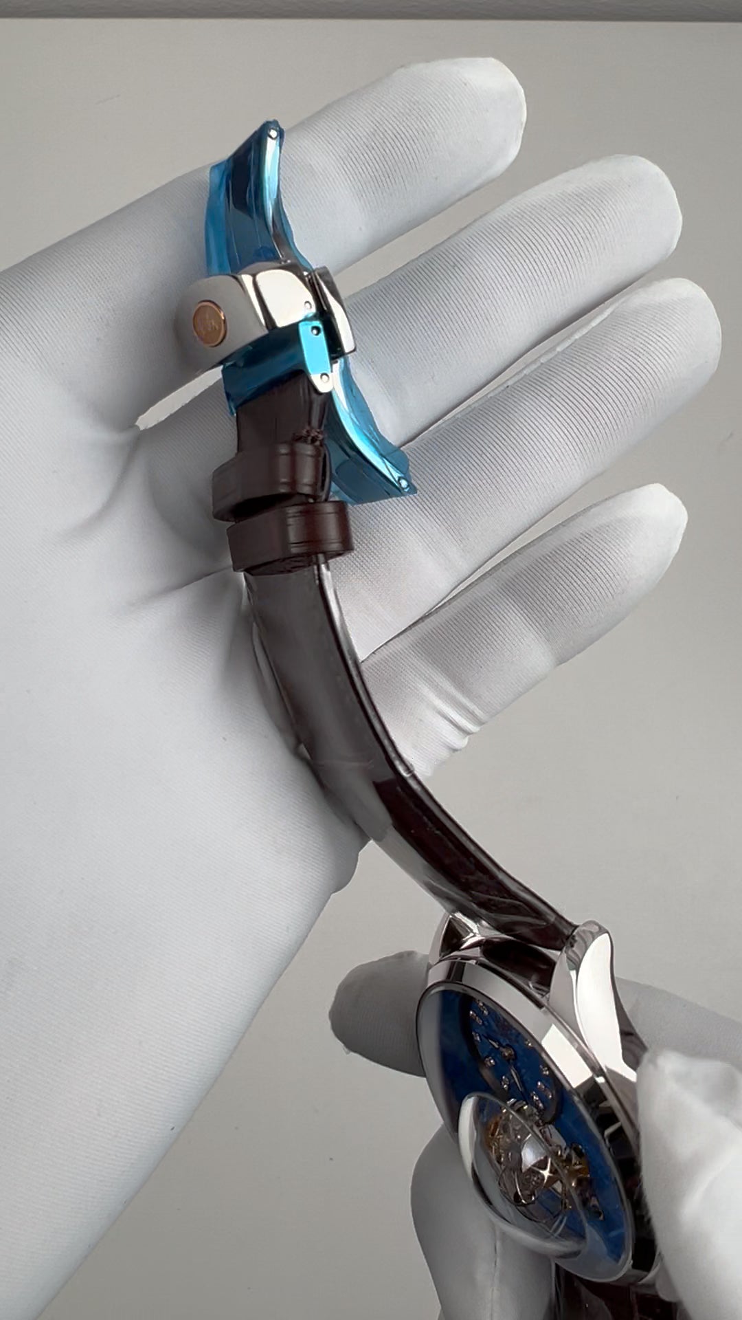 [Pre-owned] Globe Tourbillon · meteorite dial · 18K white gold case · stainless steel caseback