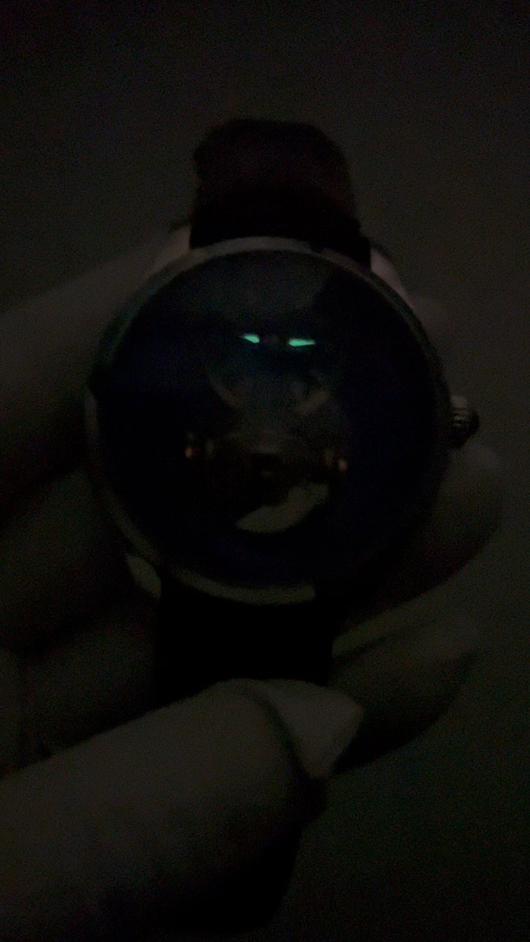 [Pre-owned] Globe Tourbillon · meteorite dial · 18K white gold case · stainless steel caseback