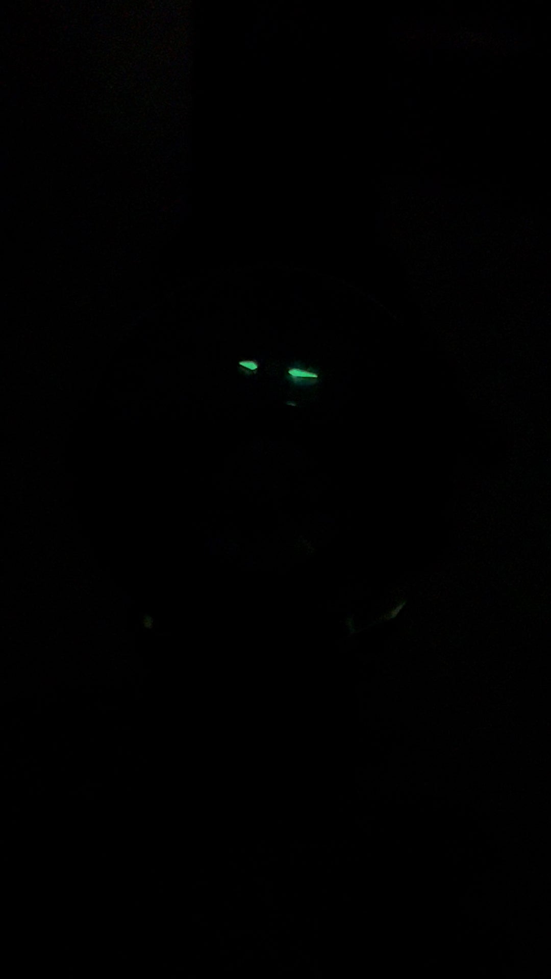 [Pre-owned] Globe Tourbillon · meteorite dial · 18K white gold case · stainless steel caseback