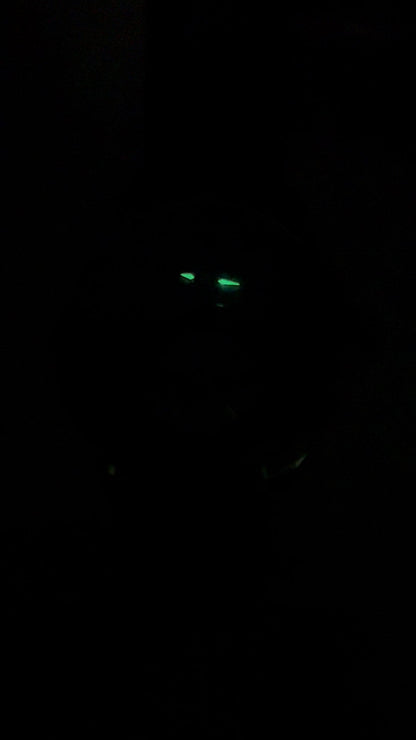 [Pre-owned] Globe Tourbillon · meteorite dial · 18K white gold case · stainless steel caseback