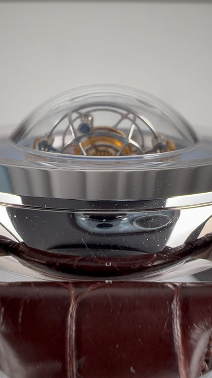 [Pre-owned] Globe Tourbillon · meteorite dial · 18K white gold case · stainless steel caseback