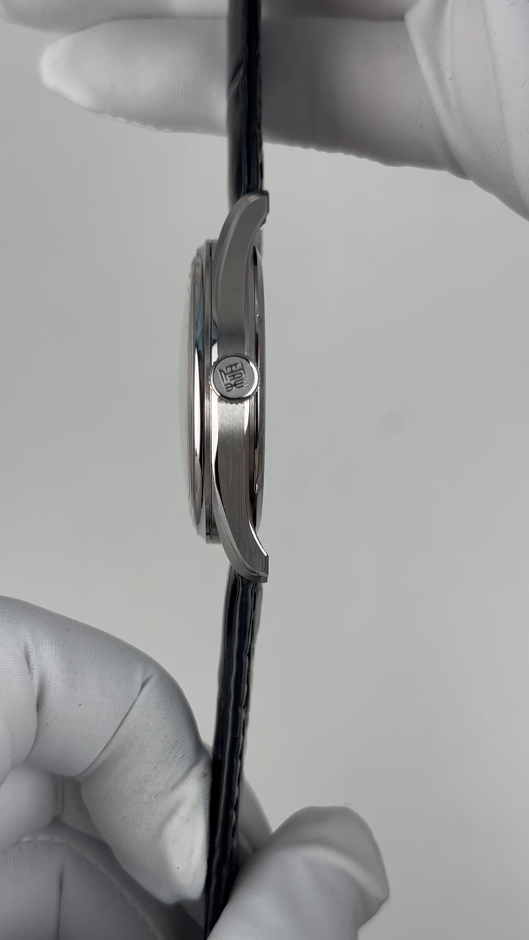 Ji Chen 008 · meteorite · leather strap