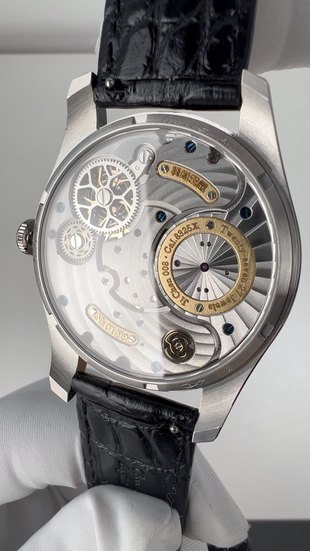 Ji Chen 008 · meteorite · leather strap