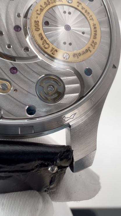 Ji Chen 008 · meteorite · leather strap