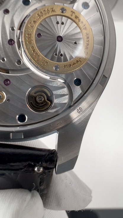 Ji Chen 008 · meteorite · leather strap