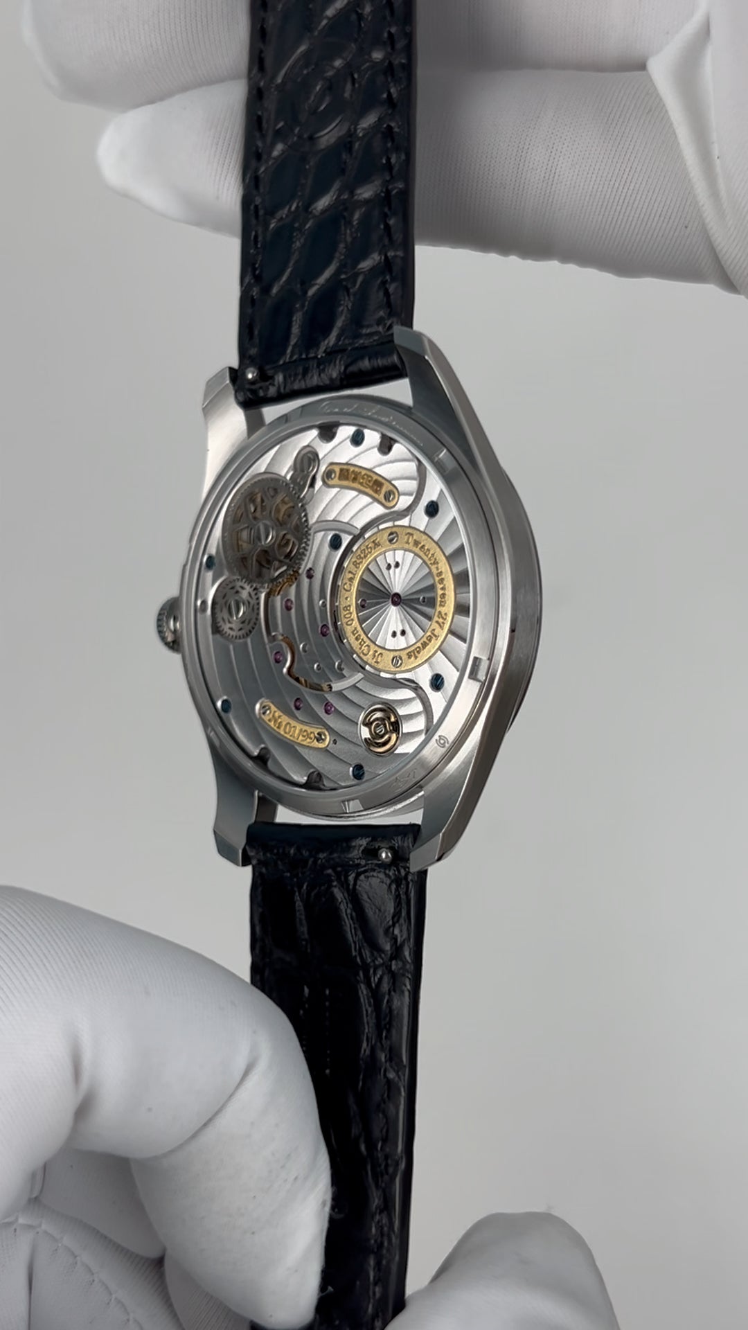 Ji Chen 008 · meteorite · leather strap