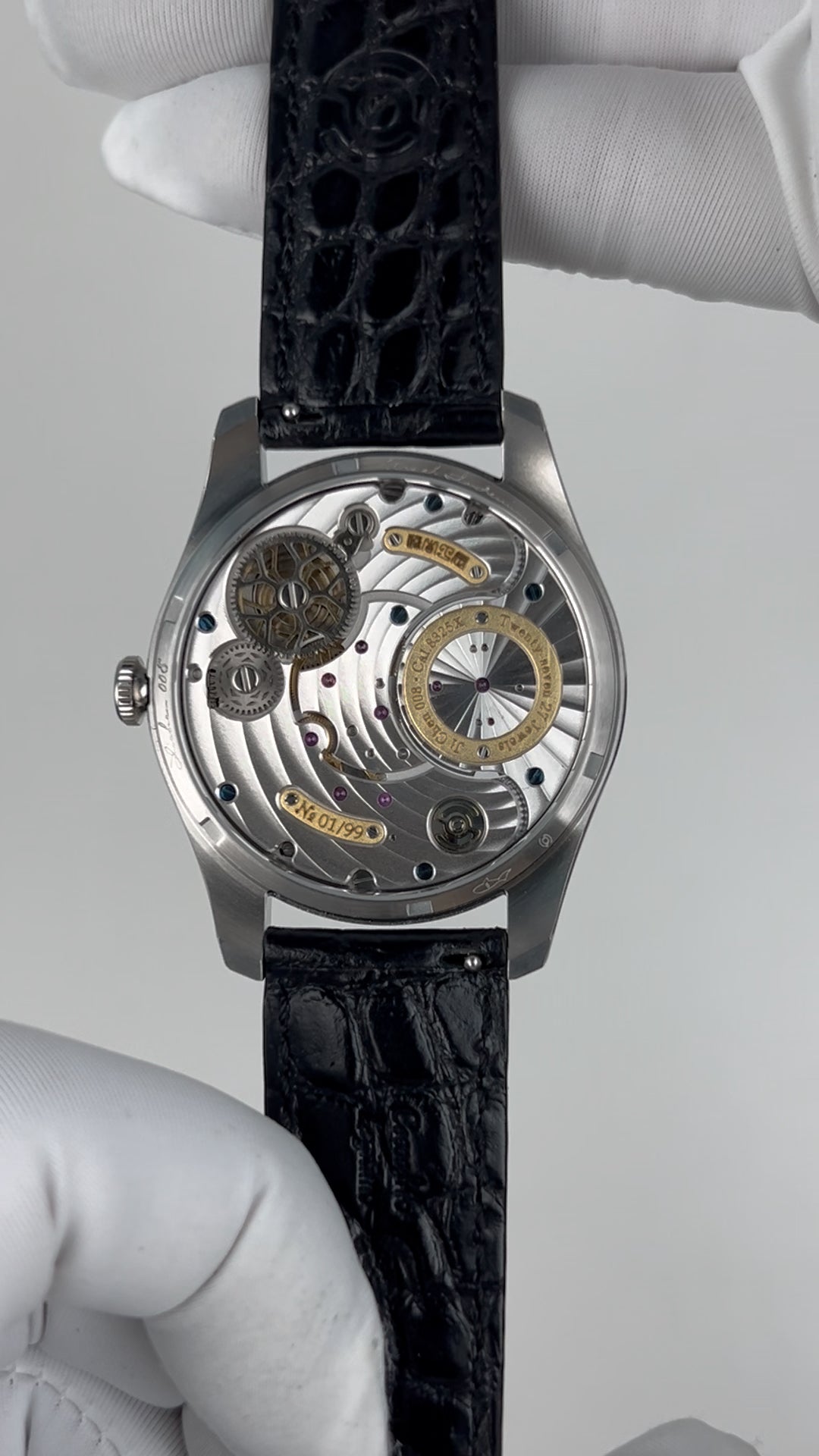 Ji Chen 008 · meteorite · leather strap